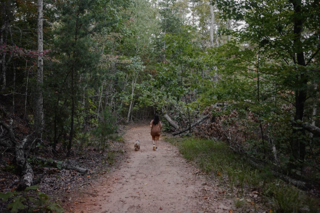 Forest trail in Greenville SC representing life after moving from Miami